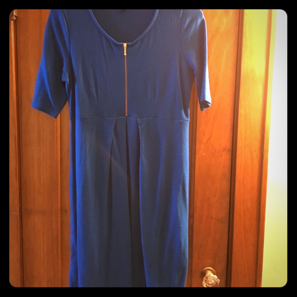 Blue Isabella Oliver Maternity Dress